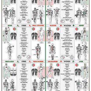 Inge Dougans Reflexology Chart