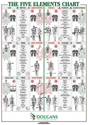 Inge Dougans Reflexology Chart