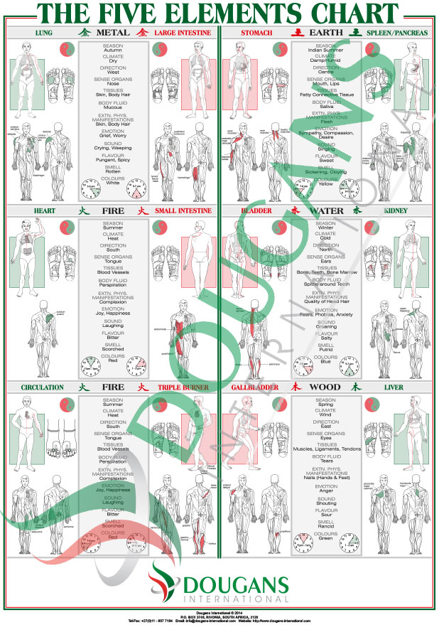 Five Elements Acupuncture Chart