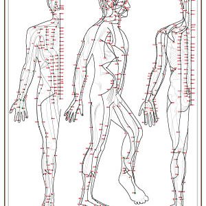 Meridian Pathways Chart