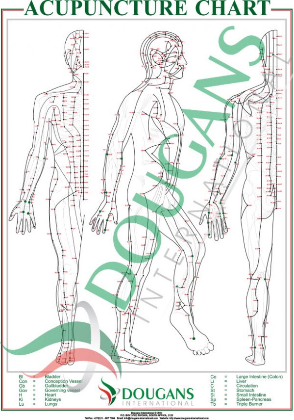 A1 Acupuncture Chart - Image 2