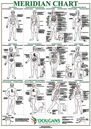 Meridian Chart Of The Human Body