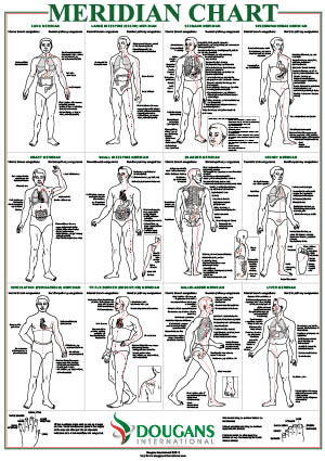 Reflexology Meridians Chart