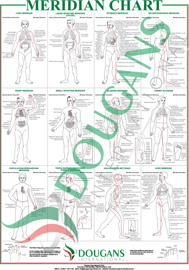 Inge Dougans Reflexology Chart