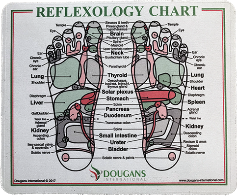 Inge Dougans Reflexology Chart